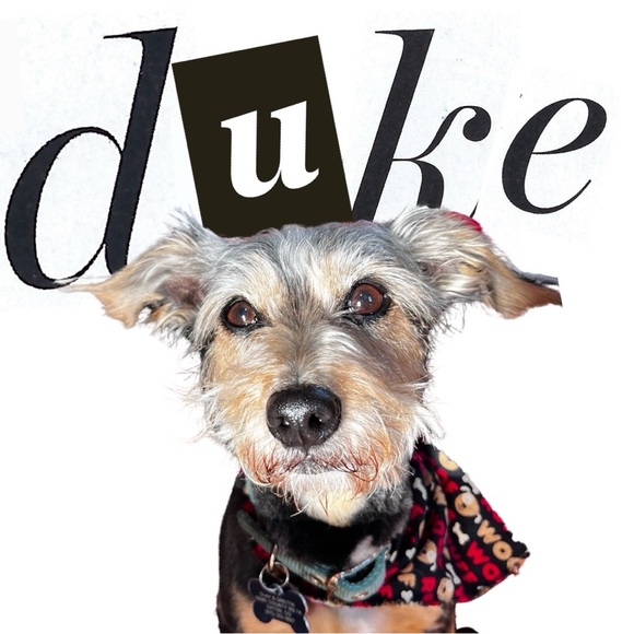 Meet your Posh Ambassador Posher, Gretta - Picture 11 of 15